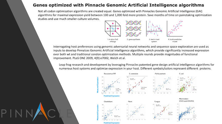 Codon Optimization - 100 fold more protein